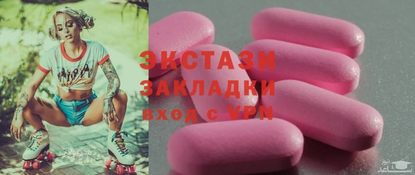 дживик Надым