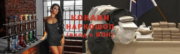 мдпв Михайлов