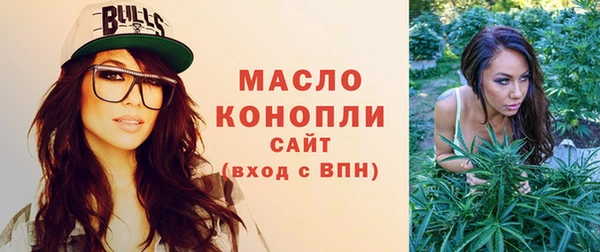 мдпв Михайлов