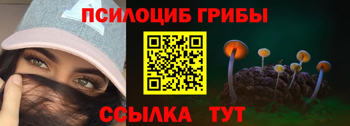 Галлюциногенные грибы мицелий  закладки  Нарьян-Мар  Вход с VPN 